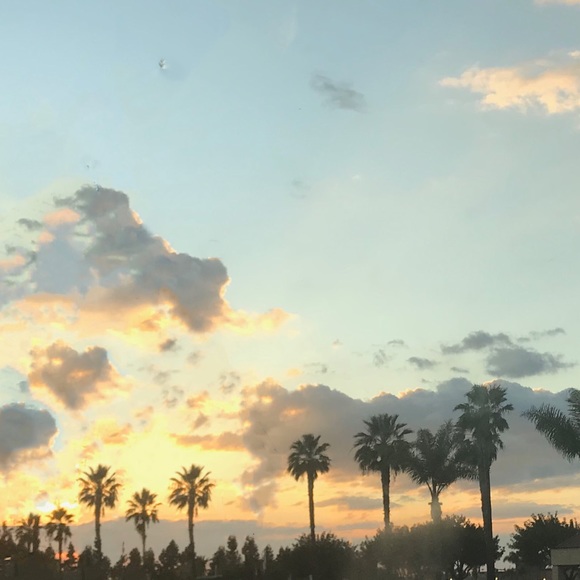 nini (⁎⁍̴̛ᴗ⁍̴̛⁎) - Picture 1 of 1